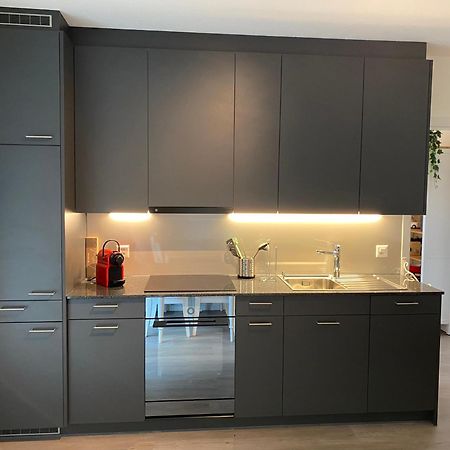 Beautiful Flat With Nice Lake And Mountain Views Weggis Esterno foto