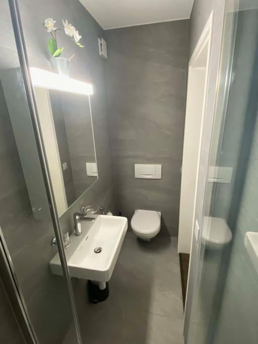 Beautiful Flat With Nice Lake And Mountain Views Weggis Esterno foto