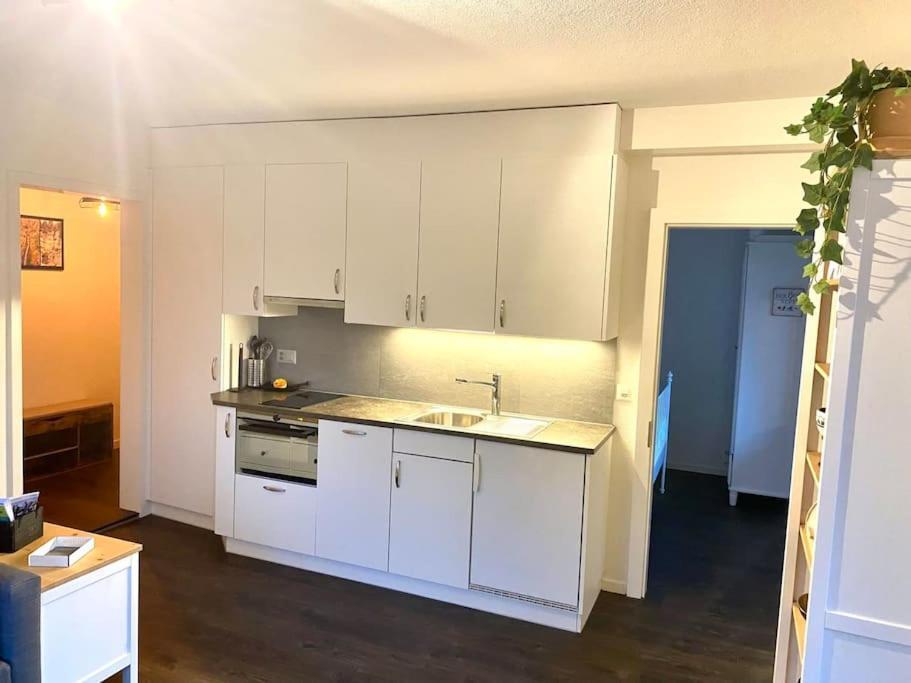 Beautiful Flat With Nice Lake And Mountain Views Weggis Esterno foto