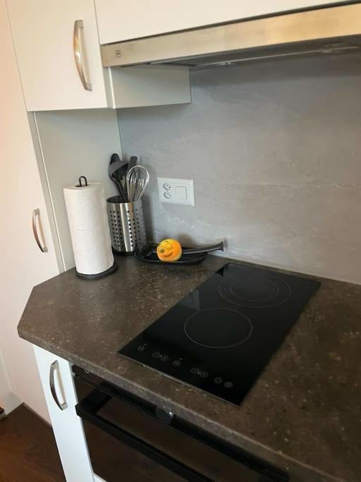 Beautiful Flat With Nice Lake And Mountain Views Weggis Esterno foto