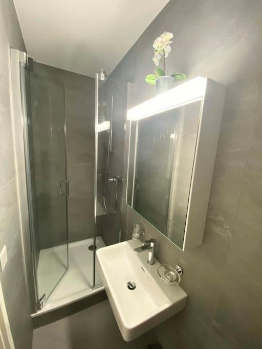 Beautiful Flat With Nice Lake And Mountain Views Weggis Esterno foto