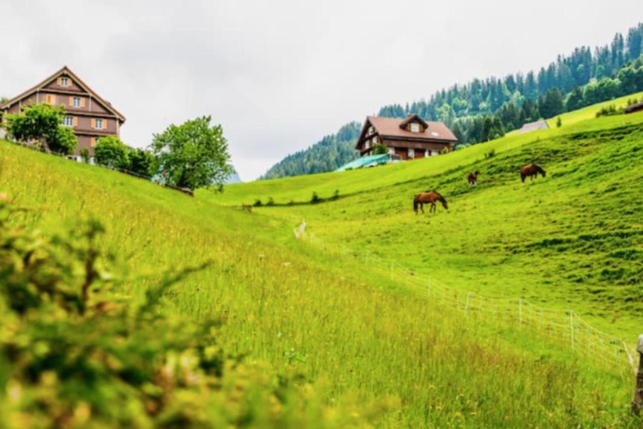 Beautiful Flat With Nice Lake And Mountain Views Weggis Esterno foto