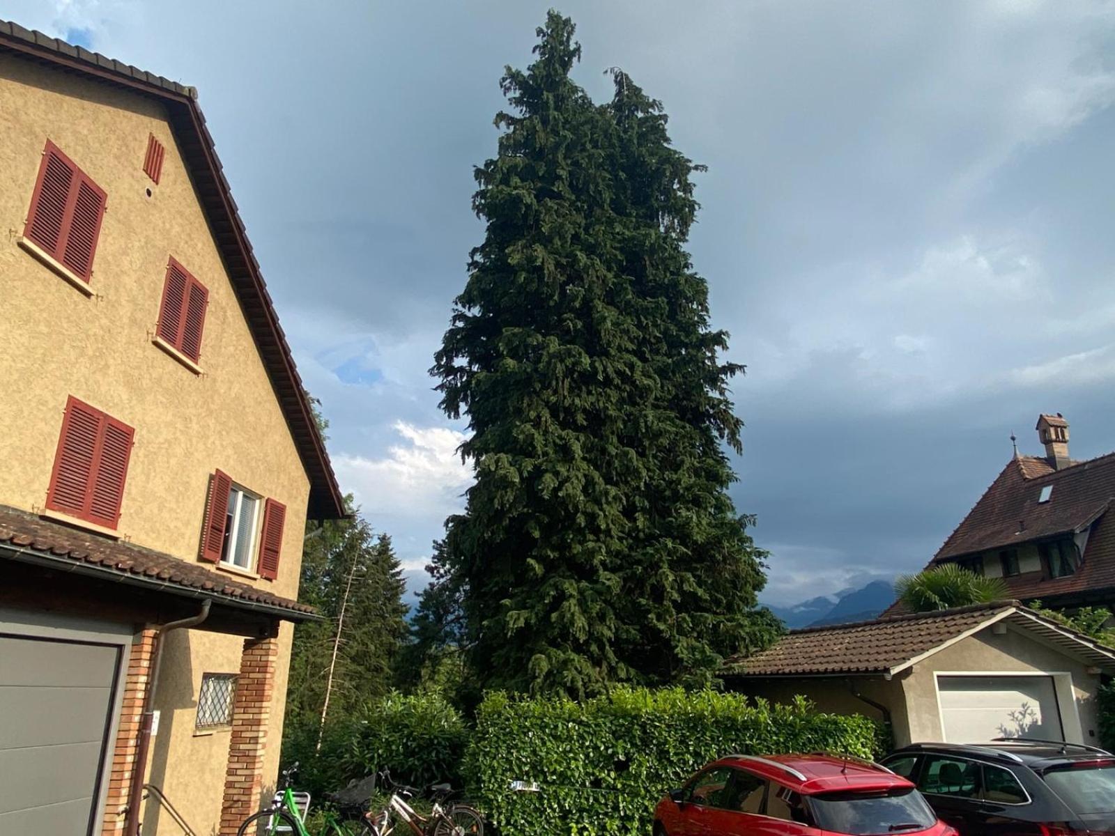 Beautiful Flat With Nice Lake And Mountain Views Weggis Esterno foto