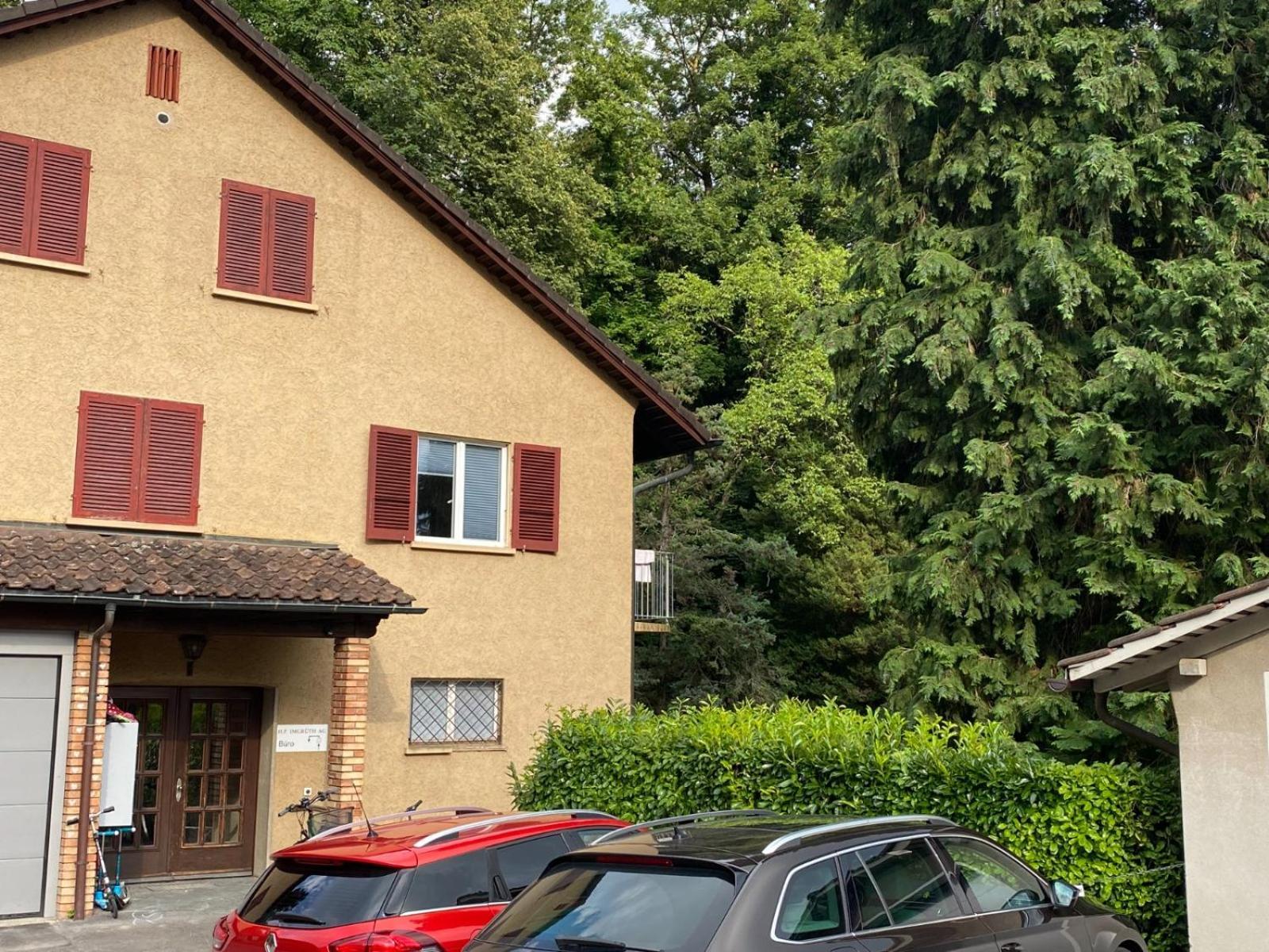 Beautiful Flat With Nice Lake And Mountain Views Weggis Esterno foto
